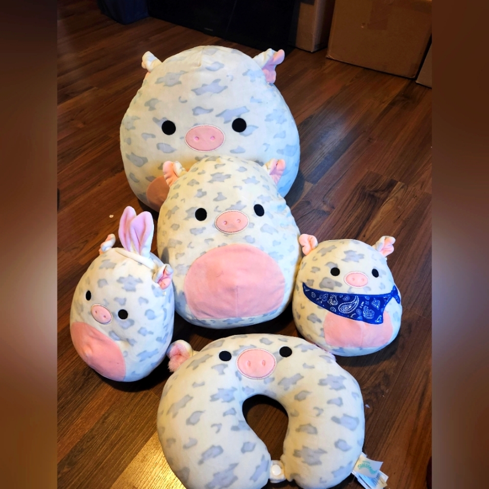 Rosie pig squishmallow bundle